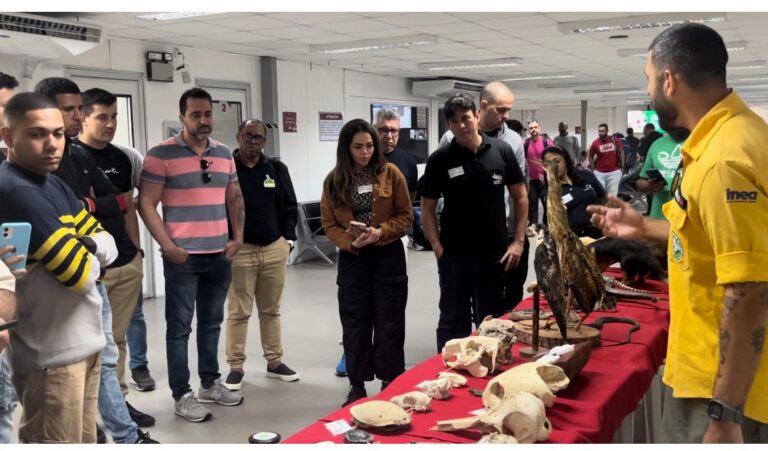 Exposição de animais silvestres no Heliporto Farol de São Tomé promove conscientização ambiental